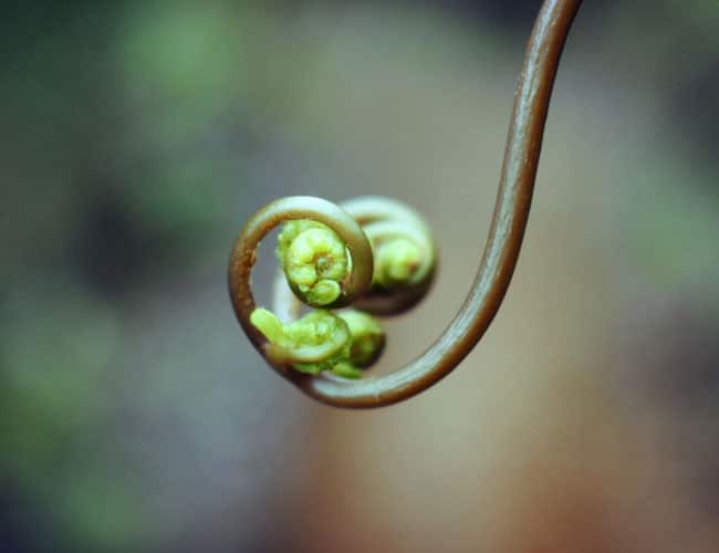 Groeien Ontwikkelen Cristel Meijer CMC Training